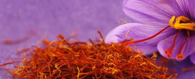 Safran Marrakech de Taliouine